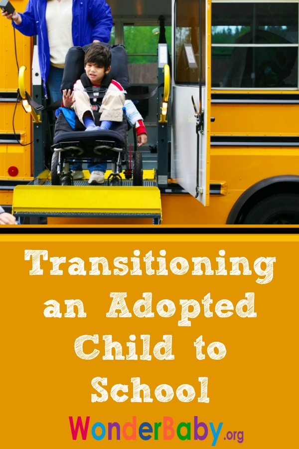 Transitioning an Adopted Child to School