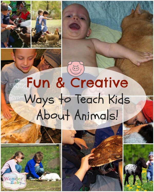 teaching your child about animals