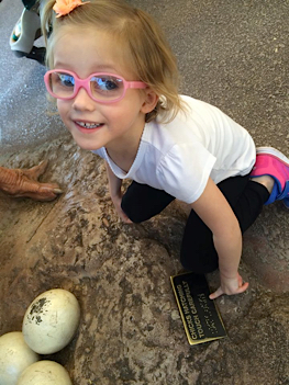 Cailee finds braille at the Phoenix Zoo