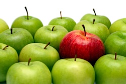 A red apples stands out against a group of green apples