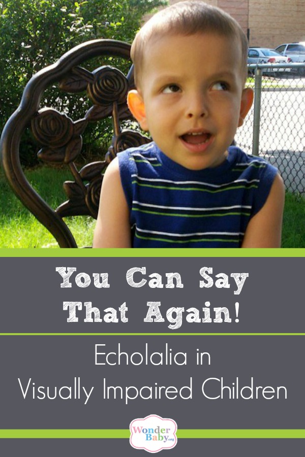 Echolalia in Visually Impaired Children