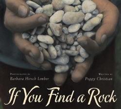 If You Find a Rock in print and braille