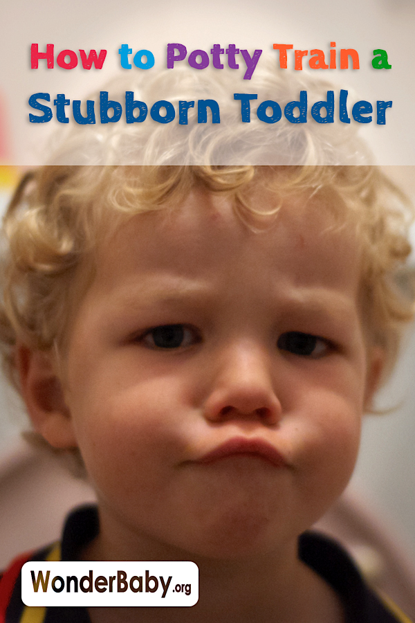 How to Potty Train a Stubborn Toddler