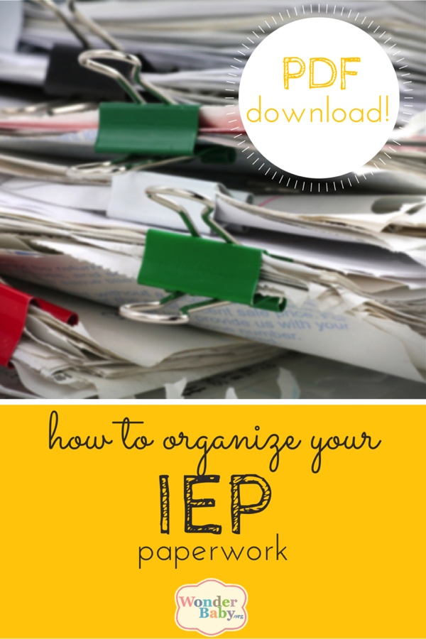 Printable IEP Organizer