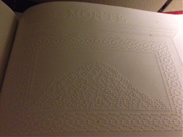 braille book