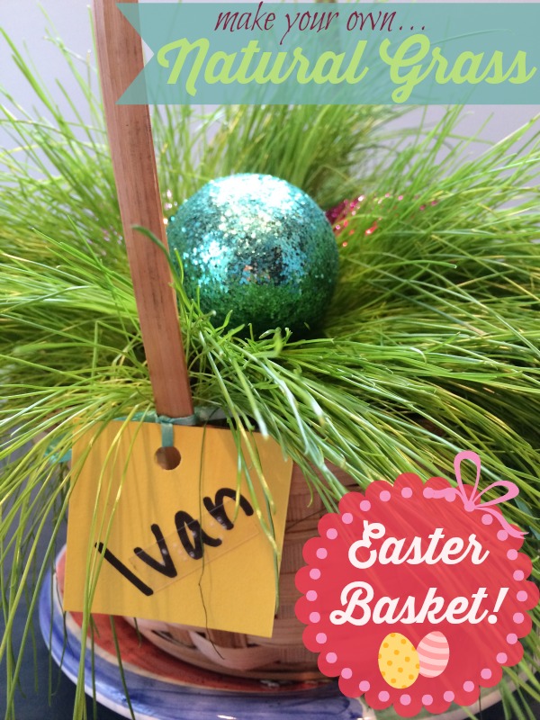 Make your own natural grass Easter basket
