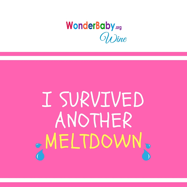 I survived another meltdown