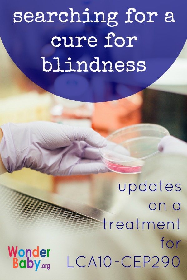 Searching for a cure for blindness: Updates on a treatment for LCA10-CEP290