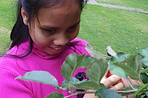 Anna touching an apple tree