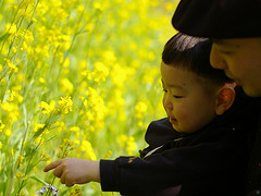 Dad and boy looking at flowers