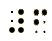 Braille 6