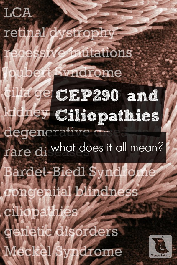 CEP290 in LCA and other Ciliopathies
