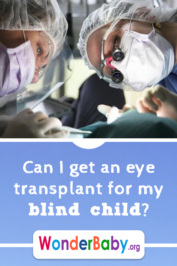 Can I get an eye transplant for my blind child?