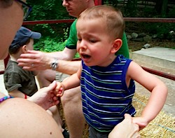 Ivan is upset on a hayride