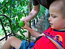 Ivan is touching an apple