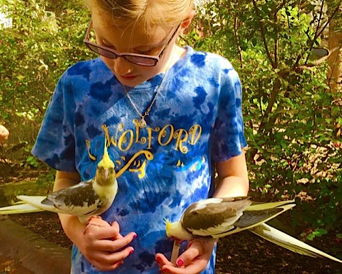 Mary Rose touching birds at the Dallas Zoo