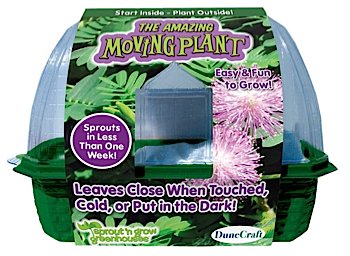 Amazing Moving Plant Kit