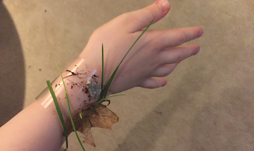 sticky nature bracelet