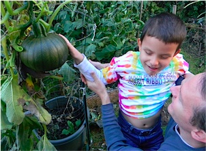 picking our pumpkin