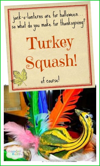 Turkey squash
