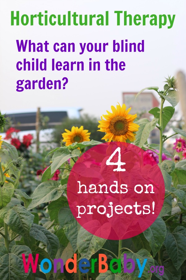 Horticultural Therapy: What Can Your Blind Child Learn in the Garden?