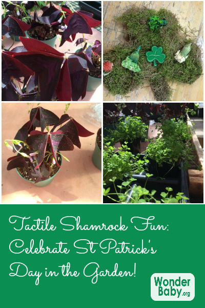 Tactile Shamrock Fun: Celebrate St Patrick's Day in the Garden!
