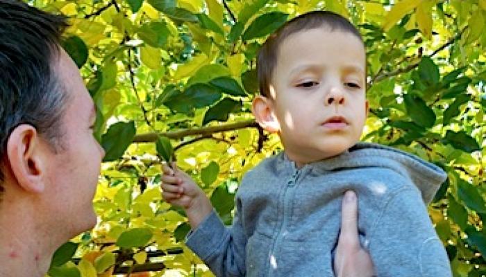 Ivan touching a tree