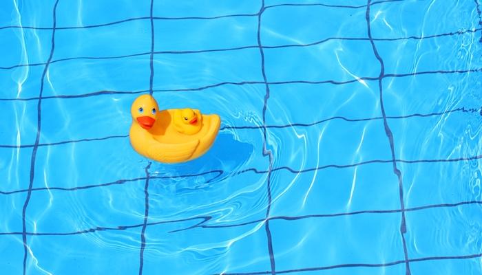 rubber duck in pool