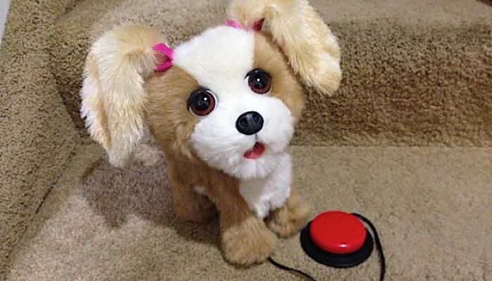 adapted puppy toy with red switch