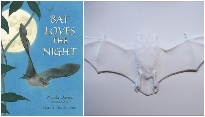 Bat Loves the Night print/braille book with tactile illustration