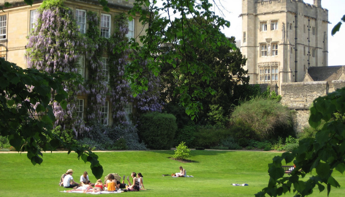 students studying outside in college