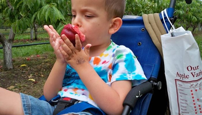 Ivan eating a nectarine