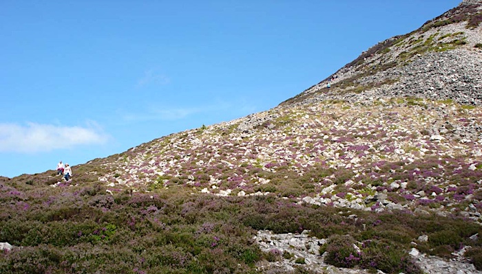 Irish mountainside