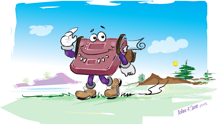 cartoon brailler with eyes, arms and legs walking on grass