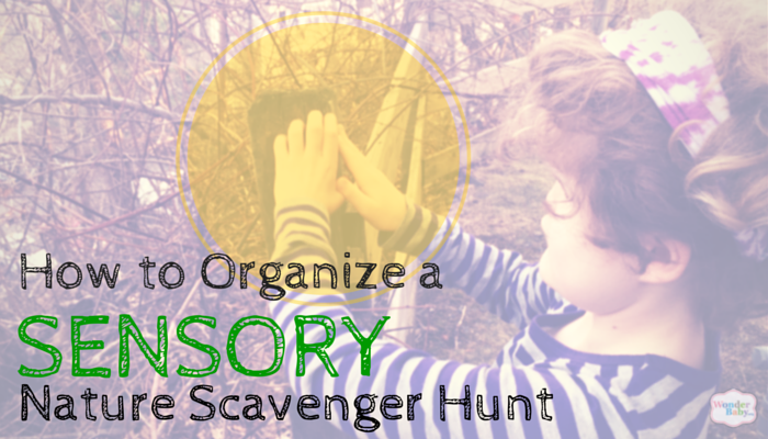 Sensory Scavenger Hunt