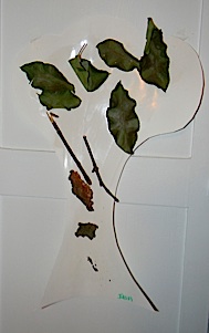 tactile tree art