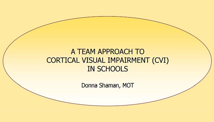A Team Approach to CVI in Schools