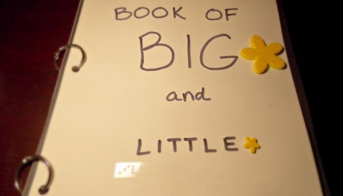 Ivan's Book of Big and Little