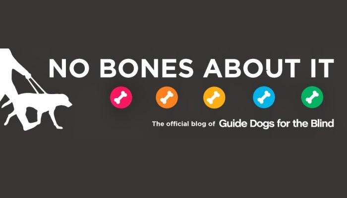 No Bones About It logo