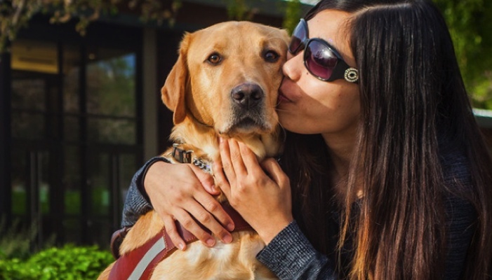 dog getting a kiss