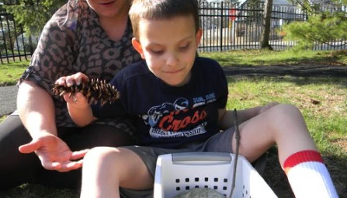 Ivan touching a pinecone at the park