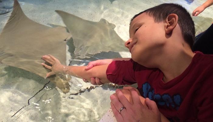 Ivan at the Shark and Ray Touch Tank