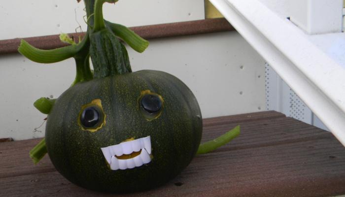 a jack-o-lantern with vampire teeth