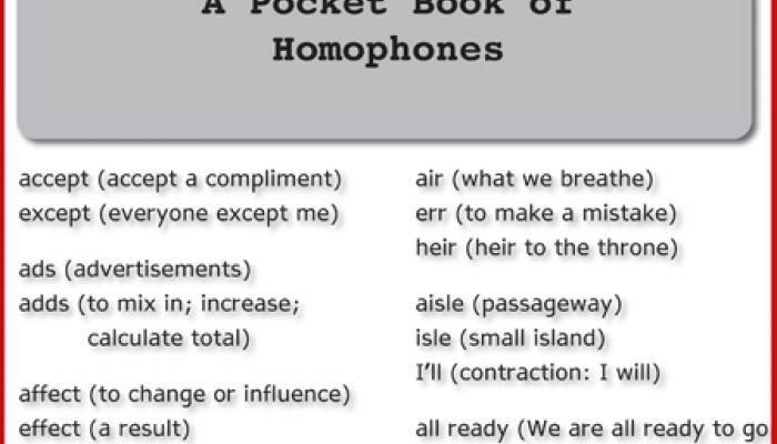 A Writer's Companion: A Pocket Book of Homophones