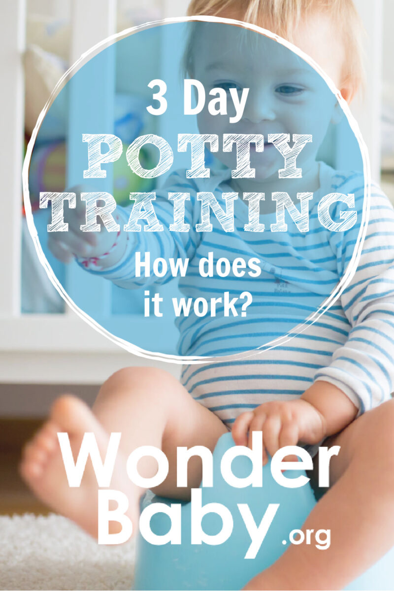 3 Day Potty Training: How Does it Work?