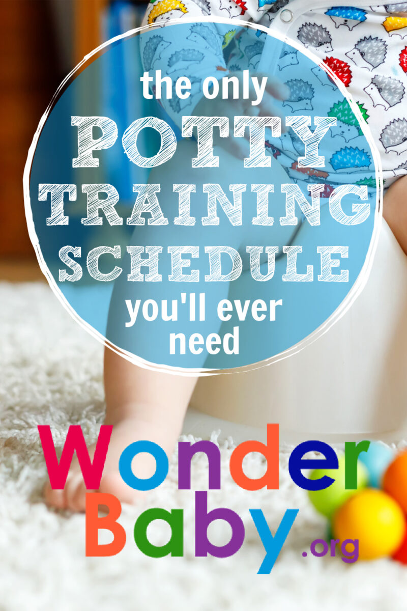 The Only Potty Training Schedule You'll Ever Need