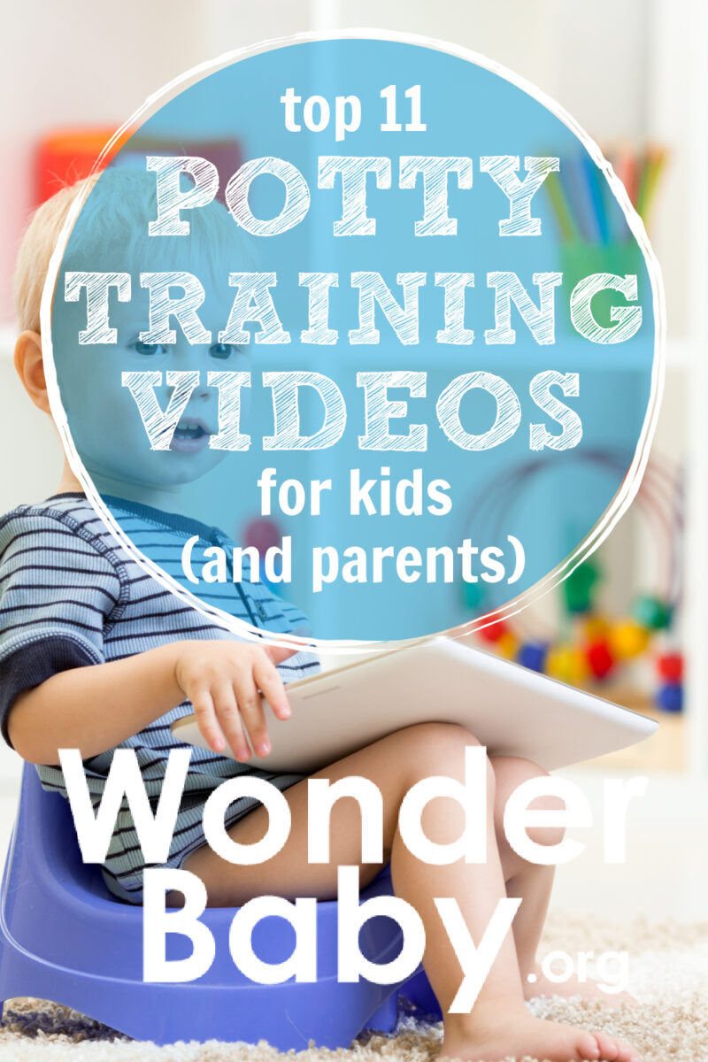 Top 11 Potty Training Videos