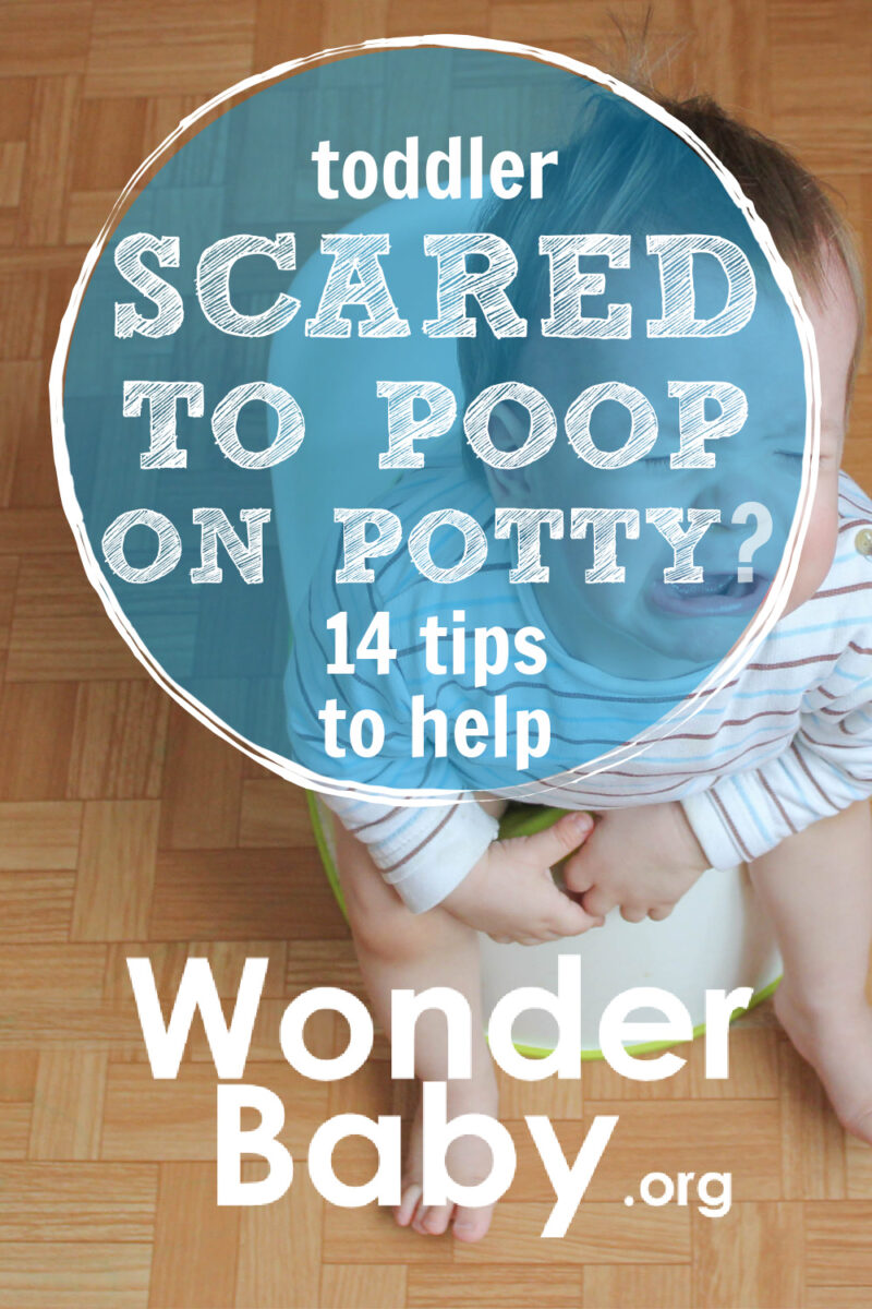 Toddler Scared to Poop on Potty? 14 Tips to Help
