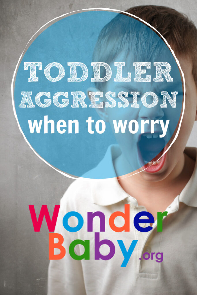 Toddler Aggression: When to Worry