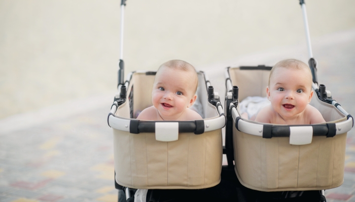 Twin boys in a bassinet.